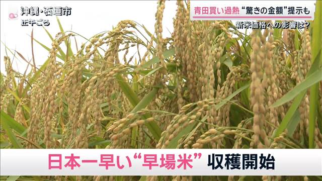 【農協】「え、いいの？」農家も驚いた提示額　日本一早い新米めぐり”争奪戦”